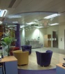 Curved glass partition